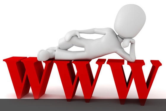 沈阳筑巢:网络推广的重要性